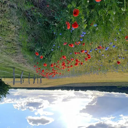 Zum Koppelblick By Interhome *